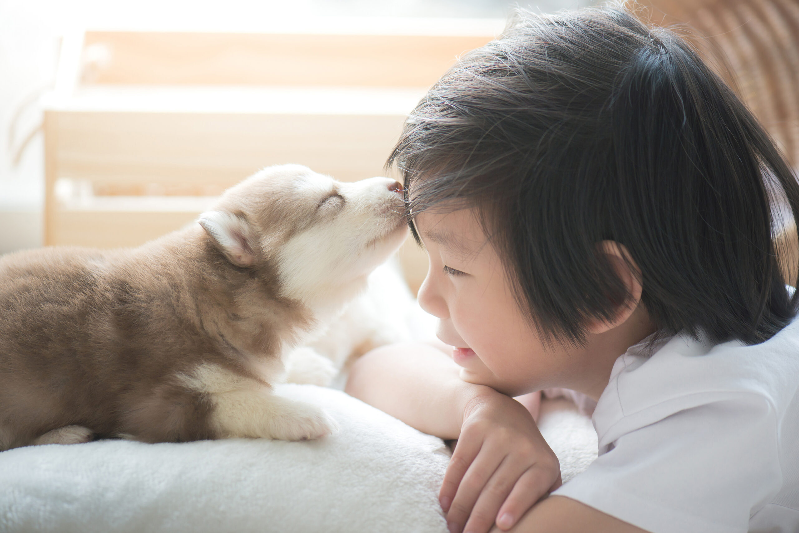 ペット飼育がもたらす喘息発症への影響とは