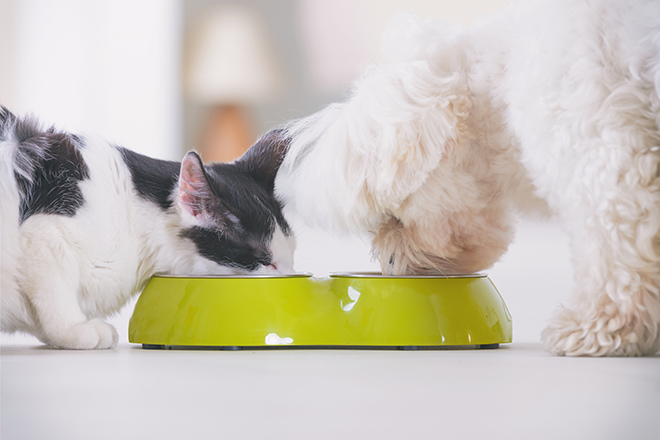 飼い主さんの安全なペットフード利用について